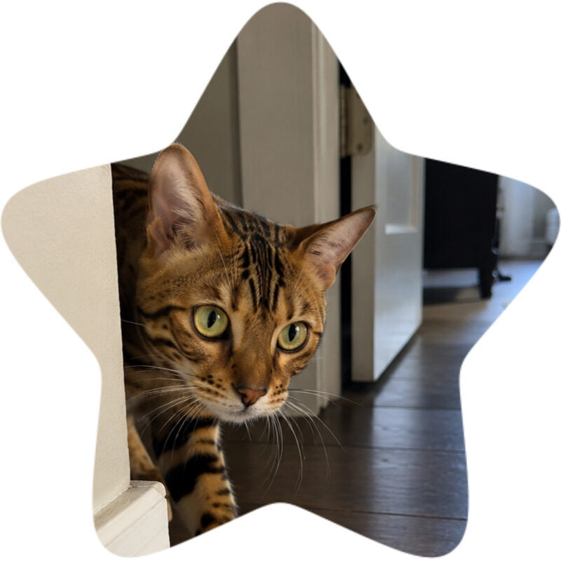 leo