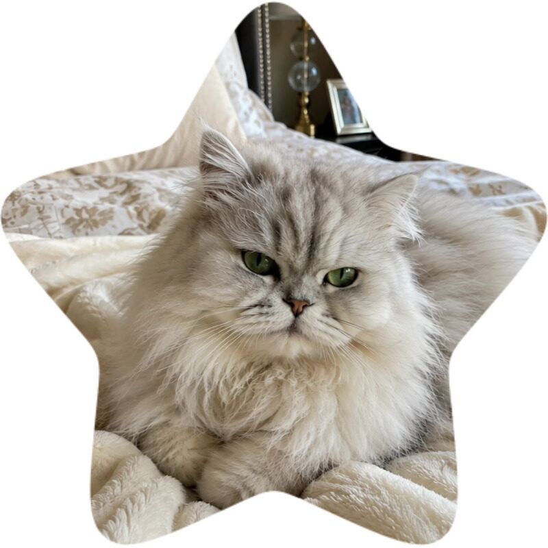 duchess