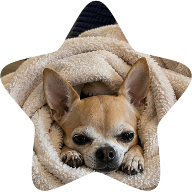 chico