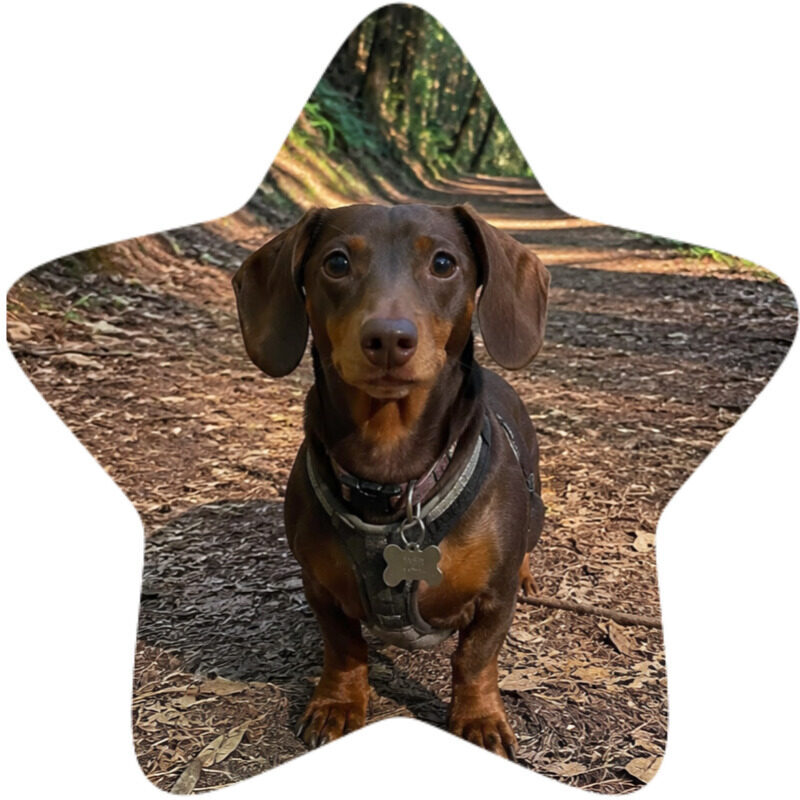 charlie