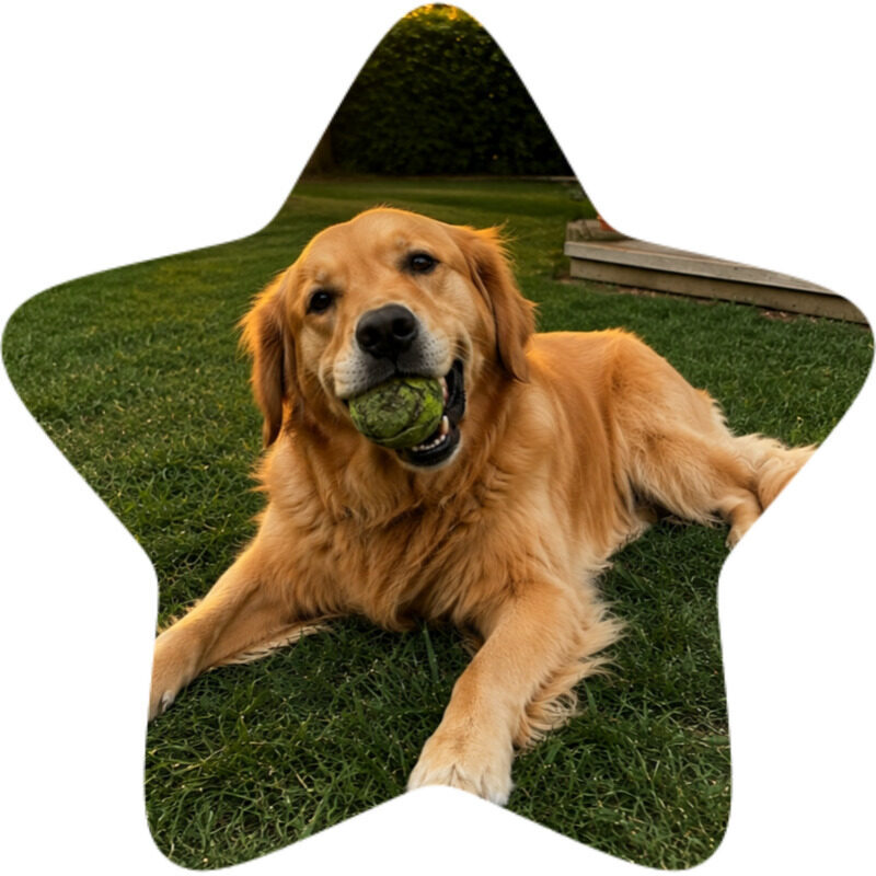 bailey