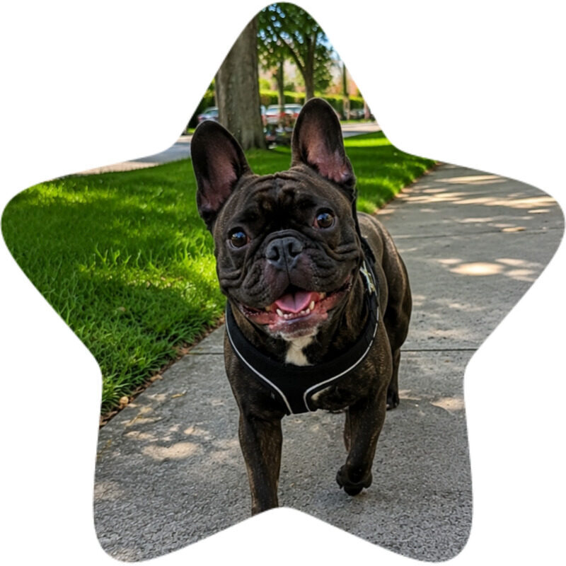 bruno