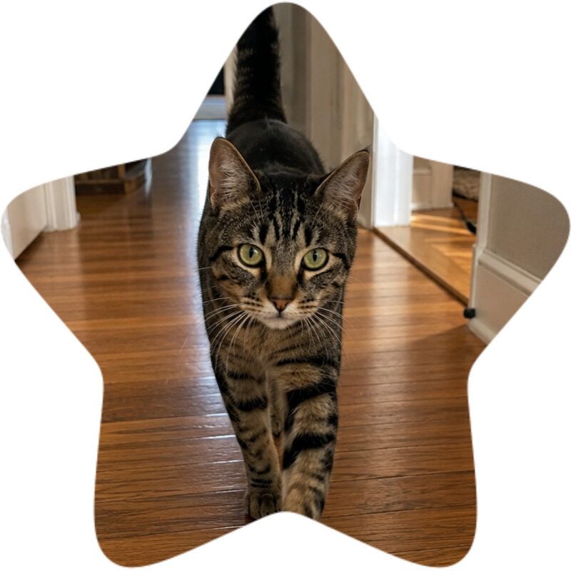 milo