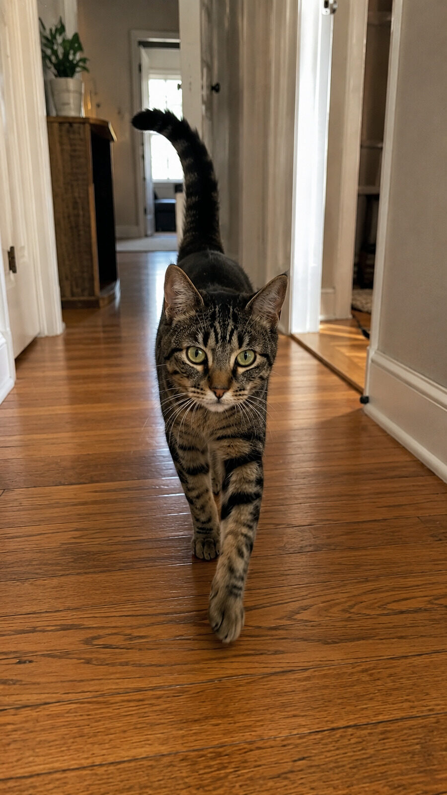 Milo