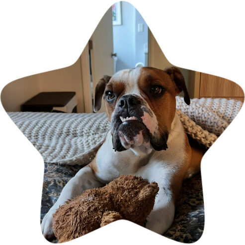 meatball