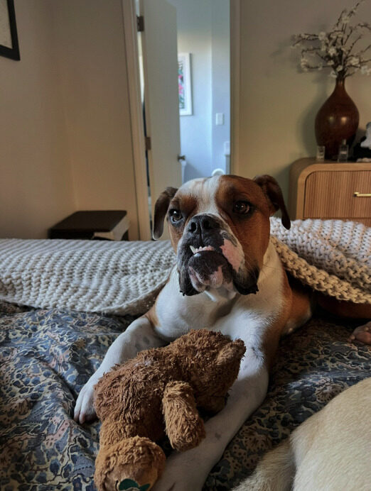 Meatball