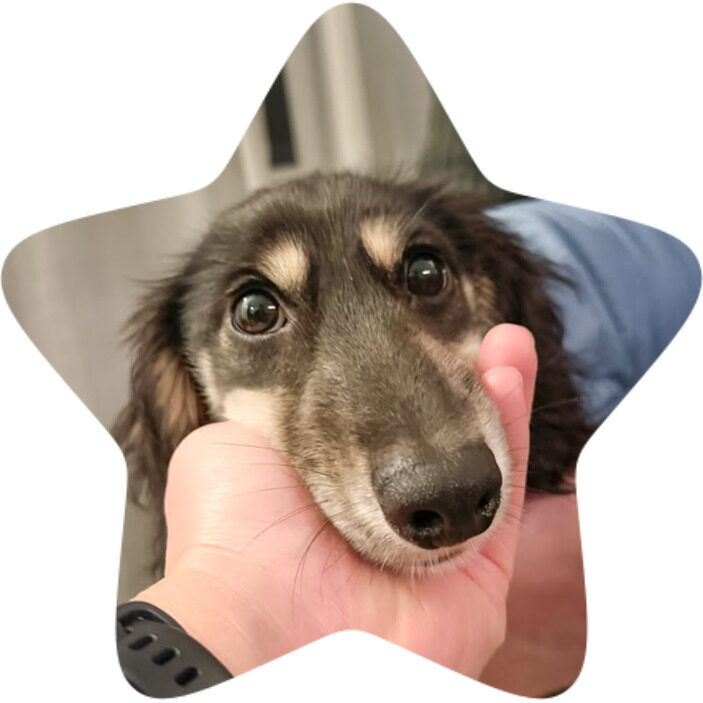 pepper