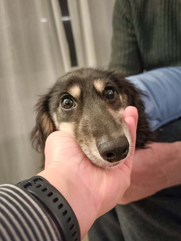 Pepper