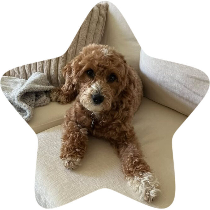 miss rosie
