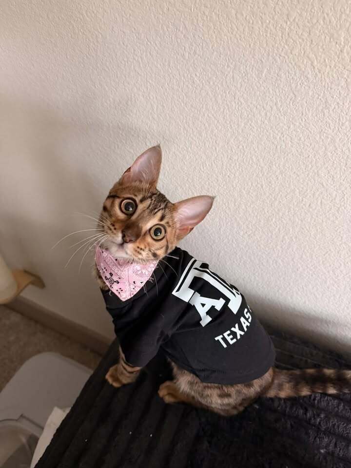 Ella